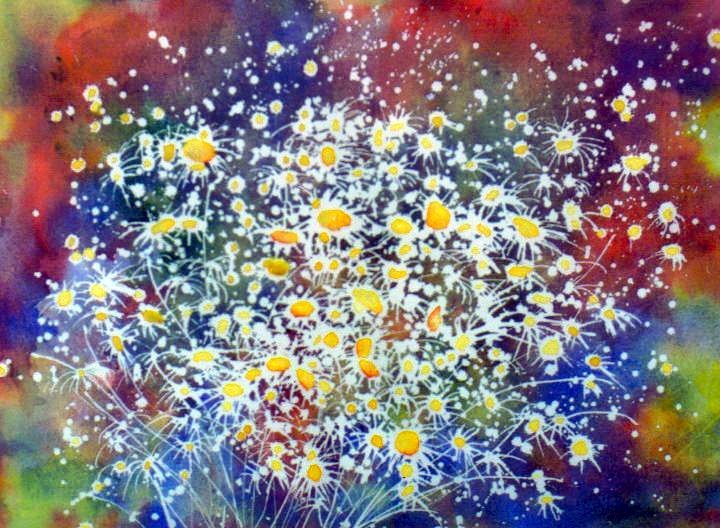 A View of Daisies